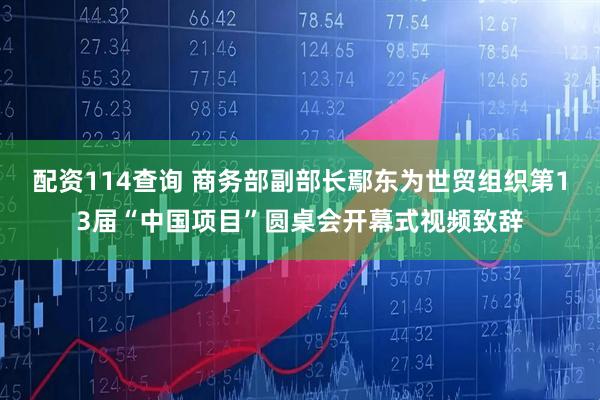 配资114查询 商务部副部长鄢东为世贸组织第13届“中国项目”圆桌会开幕式视频致辞