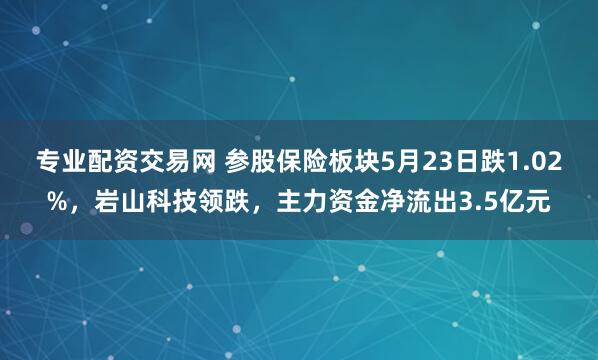 专业配资交易网 参股保险板块5月23日跌1.02%，岩山科技领跌，主力资金净流出3.5亿元