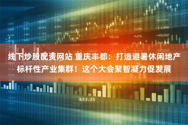 线下炒股配资网站 重庆丰都：打造避暑休闲地产标杆性产业集群！这个大会聚智凝力促发展