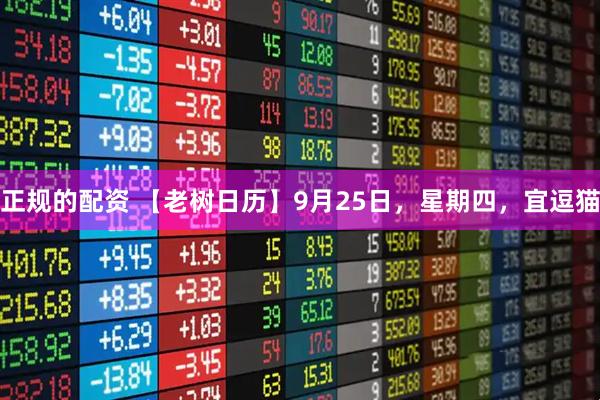 正规的配资 【老树日历】9月25日，星期四，宜逗猫